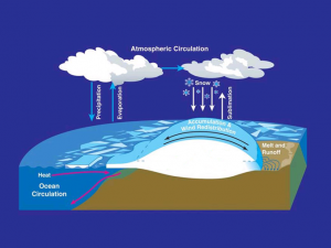 Climate Feedback Loops